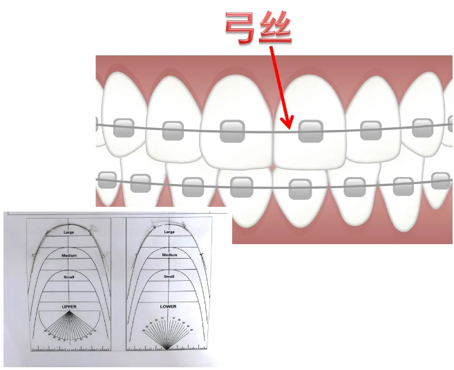 圖片2.jpg