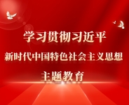 學(xué)習(xí)貫徹習(xí)近平新時(shí)代中國特色社會(huì)主義思想主題教育
